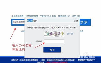 全國企業(yè)信息查詢?nèi)ヂ?權(quán)威渠道與方法詳解
